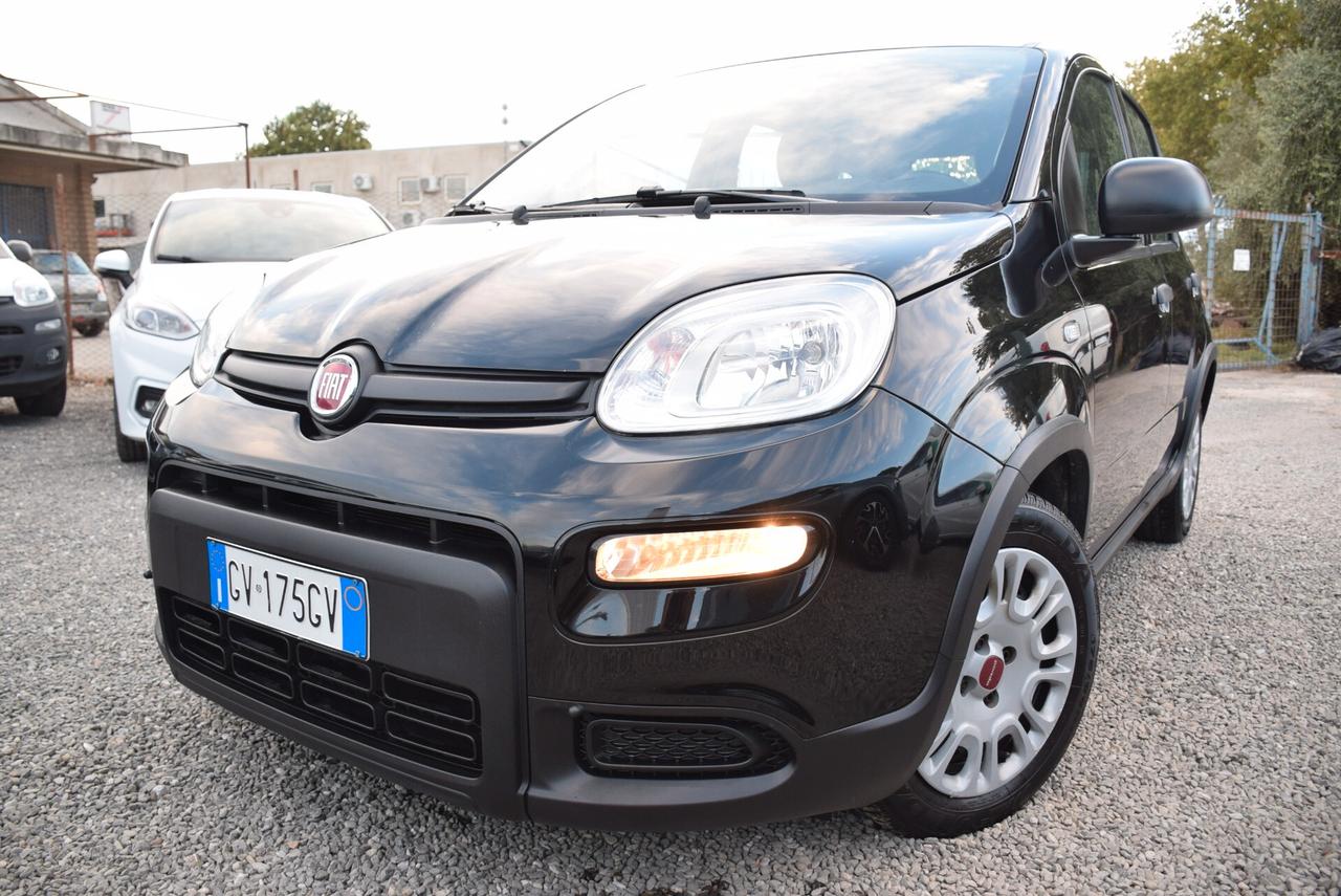 Fiat Panda 1.0 FireFly Hybrid CLIMA BT OK NEOPATENTATI IVA DETR.