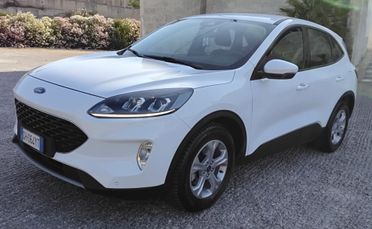 Ford Kuga 1.5 EcoBlue 120 CV 2WD Titanium