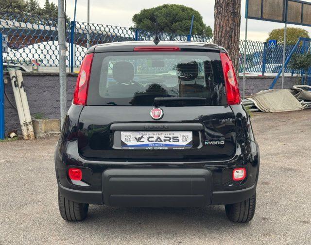 FIAT Panda 1.0 FireFly S&S Hybrid City Life *OK NEOPATENTATI*