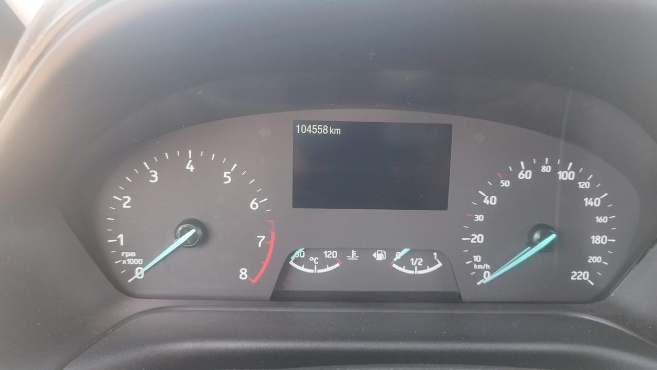 Ford Fiesta 1.0 Ecoboost Hybrid 125 CV DCT 5 porte Titanium