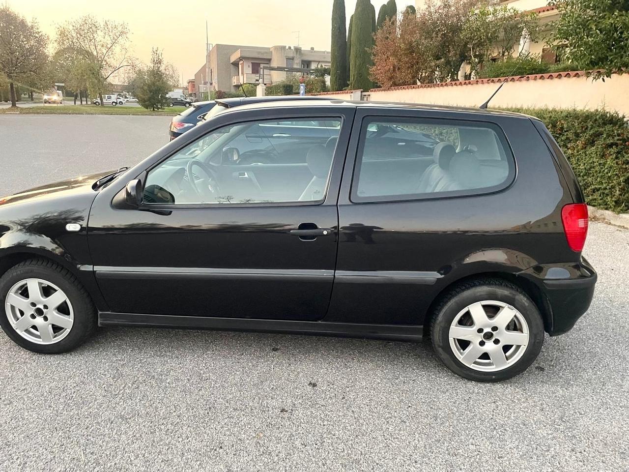 Volkswagen Polo 1.4 cat 3 porte Comfortline per Neopatentati