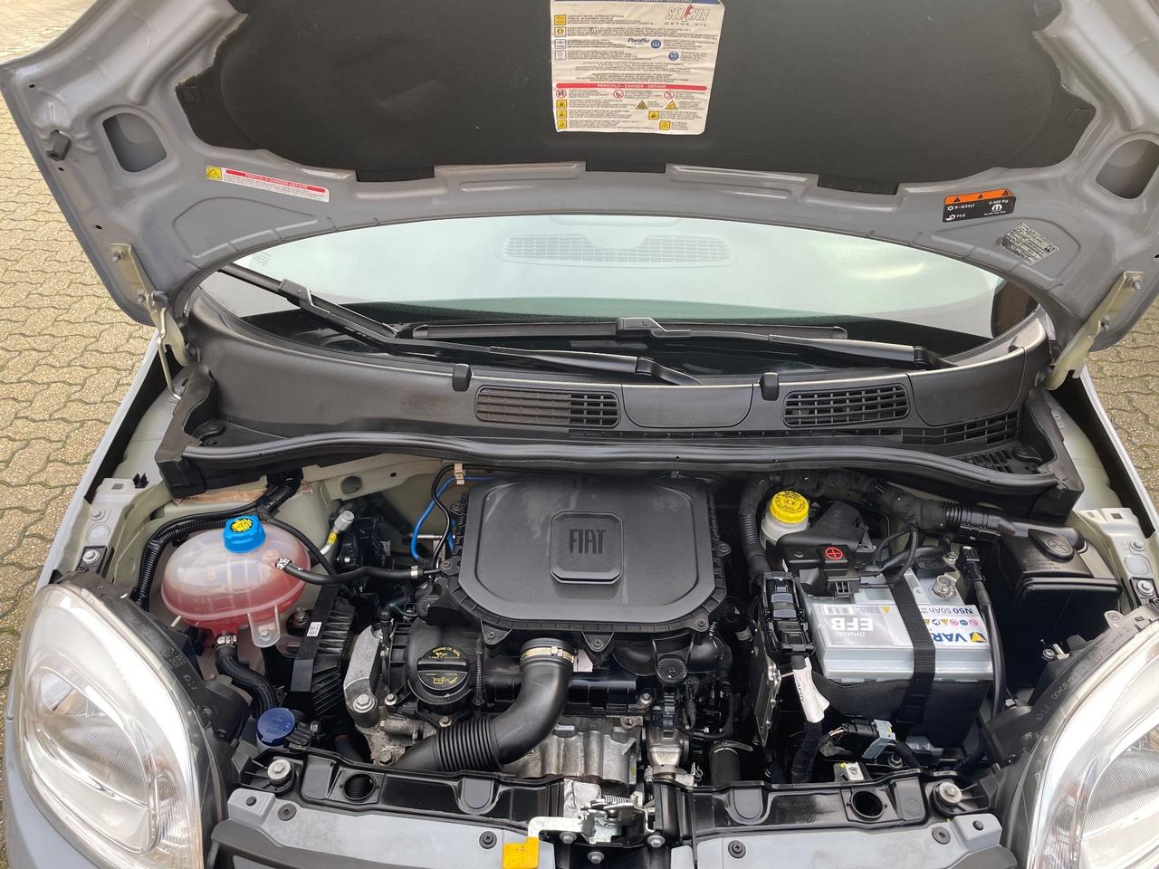 Fiat Panda 1.0 FireFly S&S Hybrid City Life