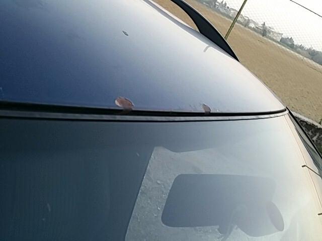 Skoda Octavia 1.9 TDI 110CV SW