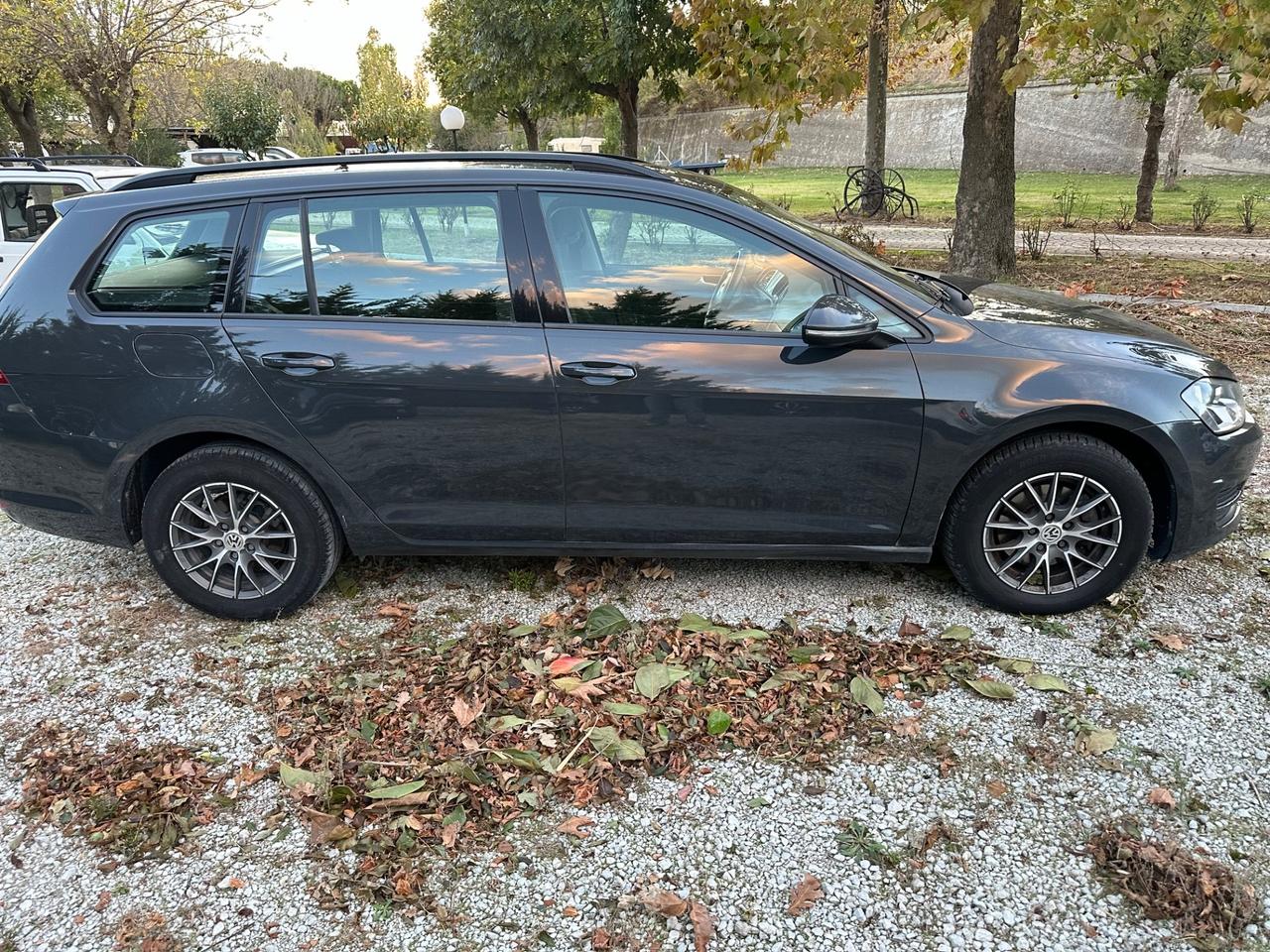 Volkswagen Golf Variant 1.6 TDI 5p. Comfortline IDONEA PER NEOPATENTATI PERMUTABILE