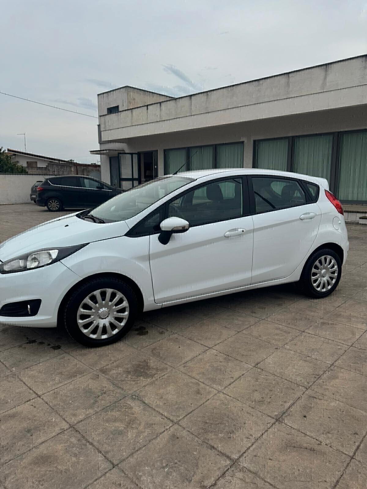 Ford Fiesta 1.4 5 porte Bz.- GPL Black & White Edition