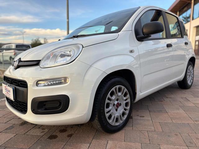 FIAT Panda 1.2 69cv E6d-Temp