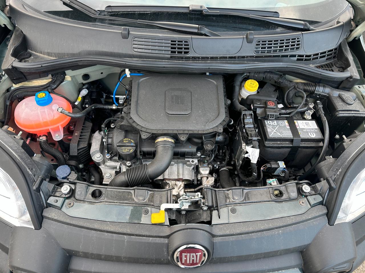 Fiat Panda Pandina 1.0 FireFly 65 CV Hybrid Cross