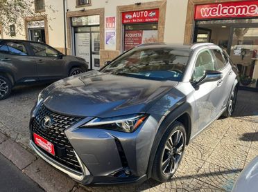 Lexus UX 2.0 Executive 4wd cvt