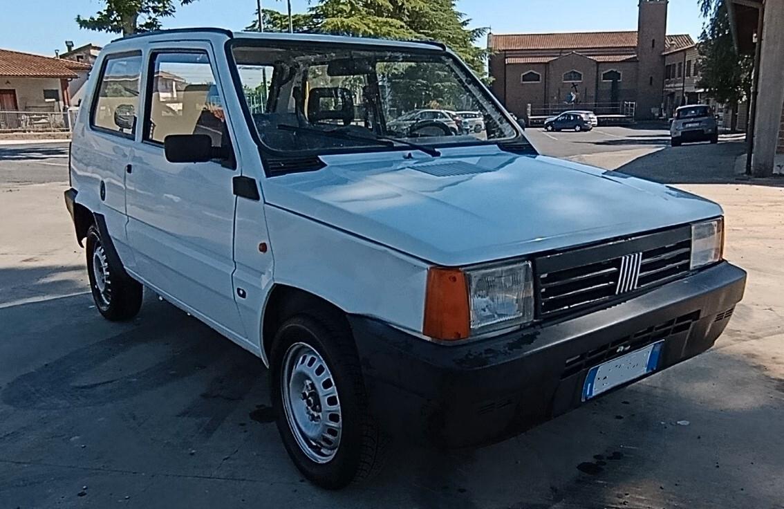 Fiat Panda 900 i.e. cat Young