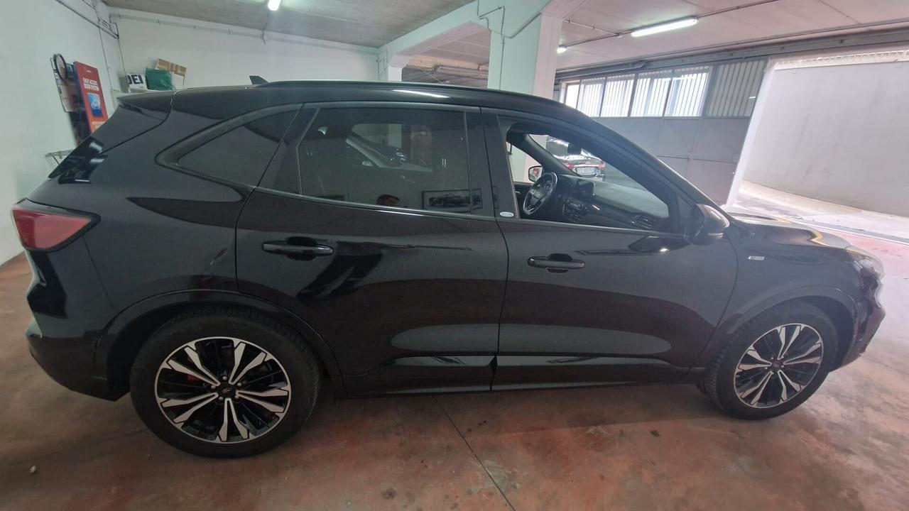 Ford Kuga 1.5 EcoBoost 150 CV 2WD ST-Line