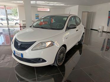 Lancia Ypsilon 1.2 69 CV 5 porte km 29.000 !!