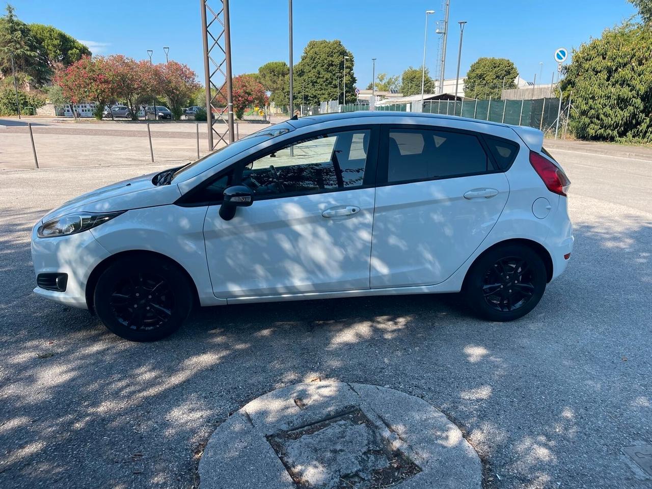 Ford Fiesta 1.5 TDCi 75CV 5 porte Black & White Edition