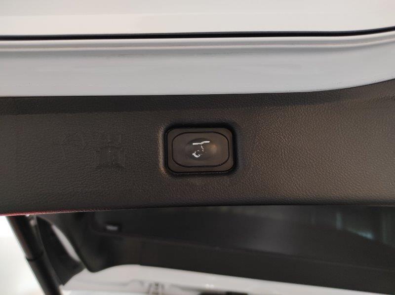 FORD S-Max 2ª serie - S-Max 2.0 EcoBlue 190CV Start&Stop Aut. ST-Line Business