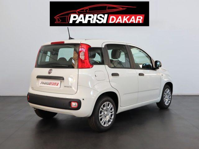 FIAT Panda 1.0 FireFly S&S Hybrid *PROMO PARISI GROUP*