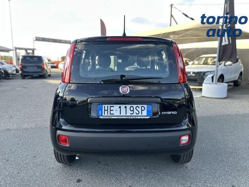 FIAT Pandina Pandina 1.0 firefly hybrid Icon s&s 65cv