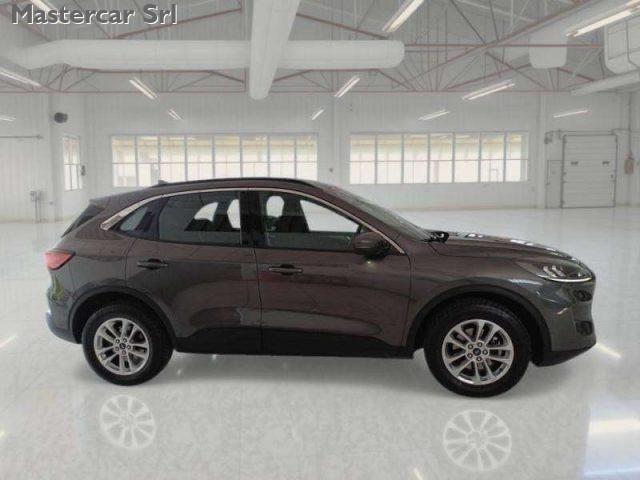 FORD Kuga Kuga 2020 1.5 ecoblue Titanium Business 2wd 120cv