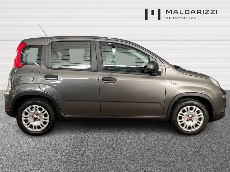 FIAT Panda III 2021 1.0 firefly hybrid s&s 70cv 5p.ti