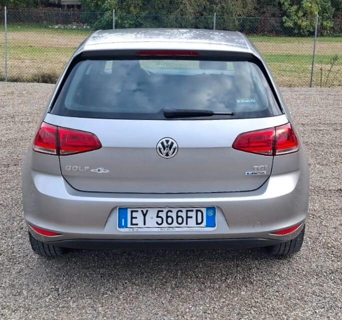 Volkswagen Golf 1.4 TGI 5p. Highline BlueMotion