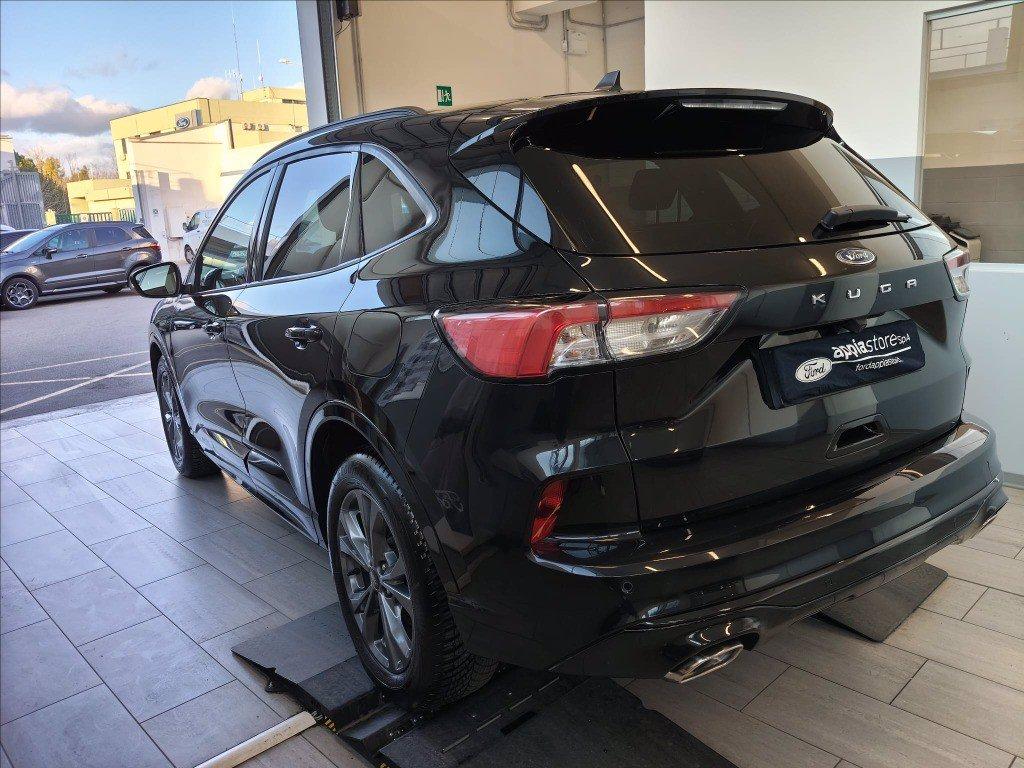 FORD Kuga 2.0 ecoblue ST-Line 2wd 120cv auto del 2024