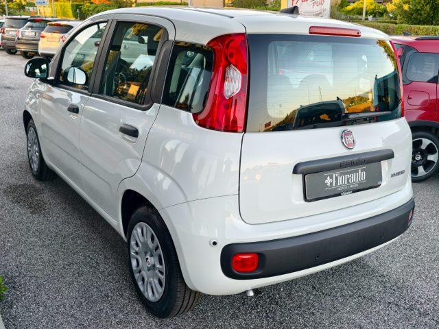 FIAT Panda 1.0 Hybrid KM ZERO+pack city e 5°posto