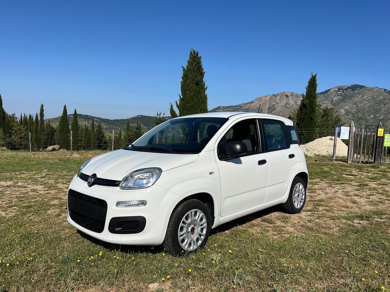 Fiat Panda 1.2 Easy 16v