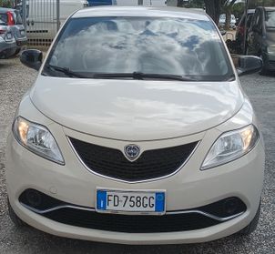 Lancia Ypsilon 2016 - 1.2 BENZINA LB AUTOMOBILI