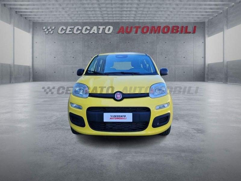 FIAT Panda Panda 1.0 firefly hybrid s&s 70cv