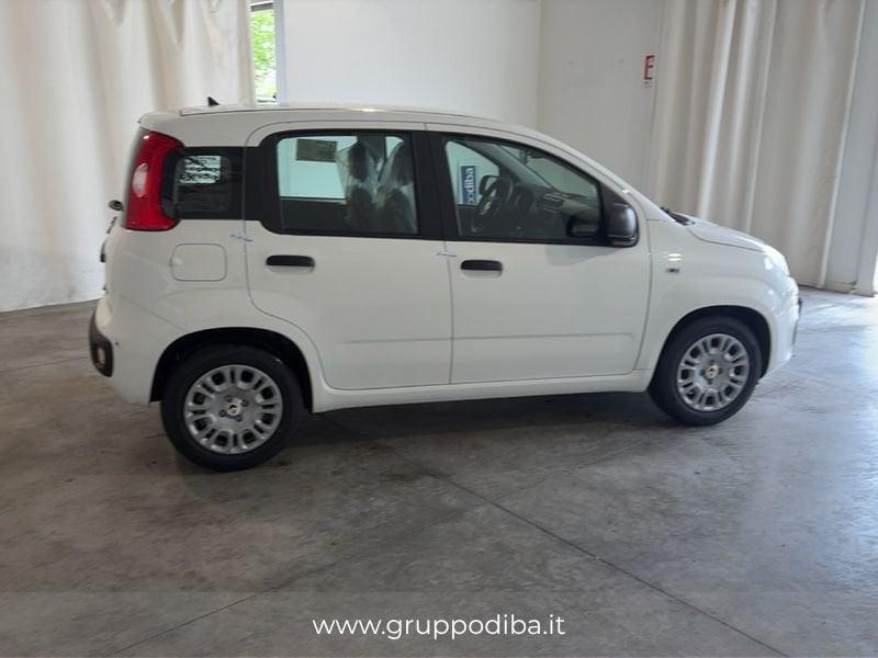 FIAT Pandina 1NA My26 1.0 65cv Hybrid Pop