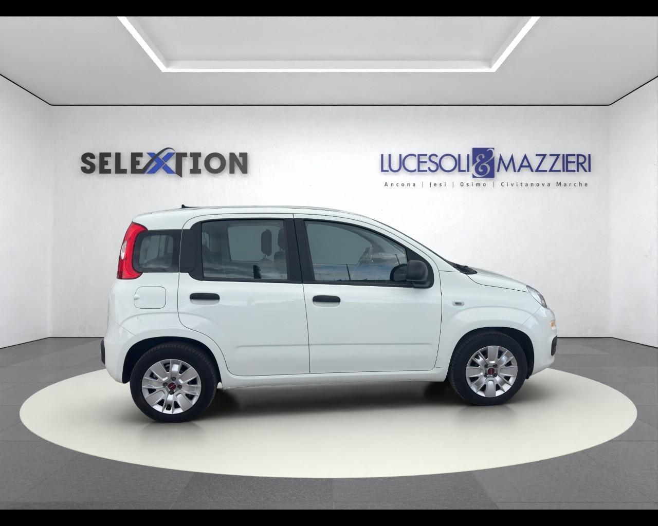 FIAT Panda 3ª serie - Panda 1.0 FireFly S&S Hybrid