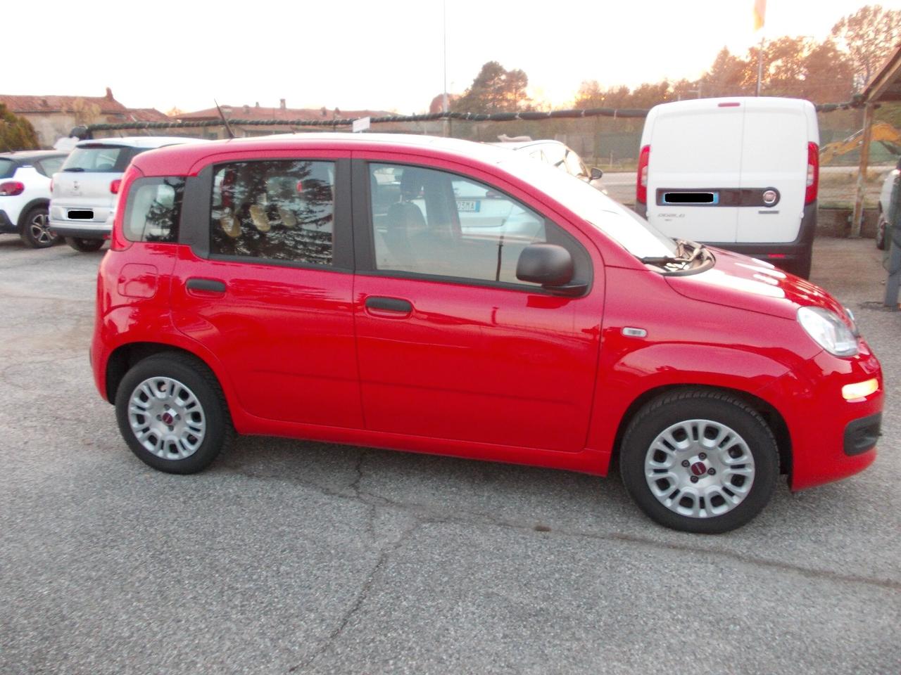 Fiat Panda 1.0 FireFly Hybrid KM31391