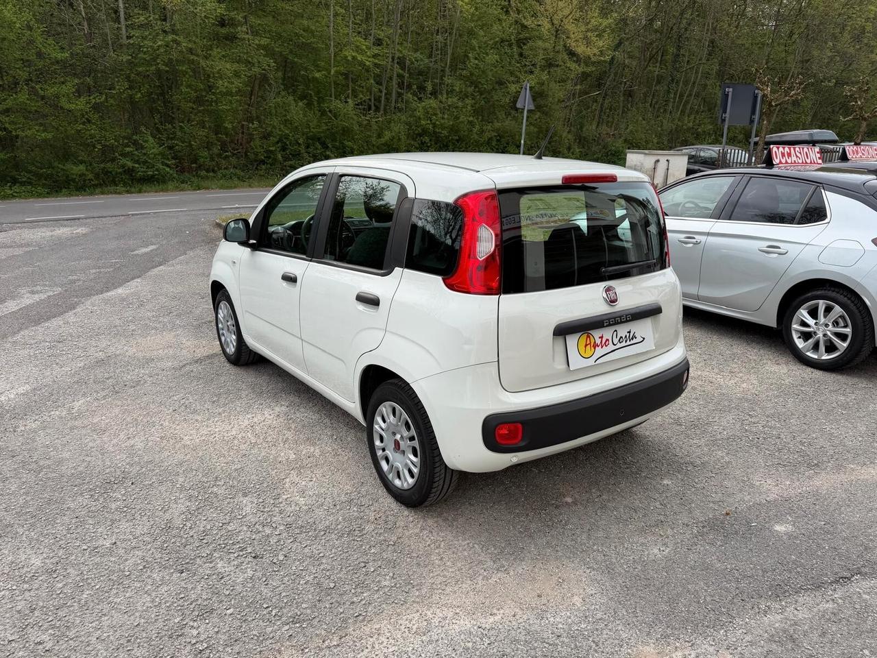 Fiat Panda 1.2 Lounge Neopatentati