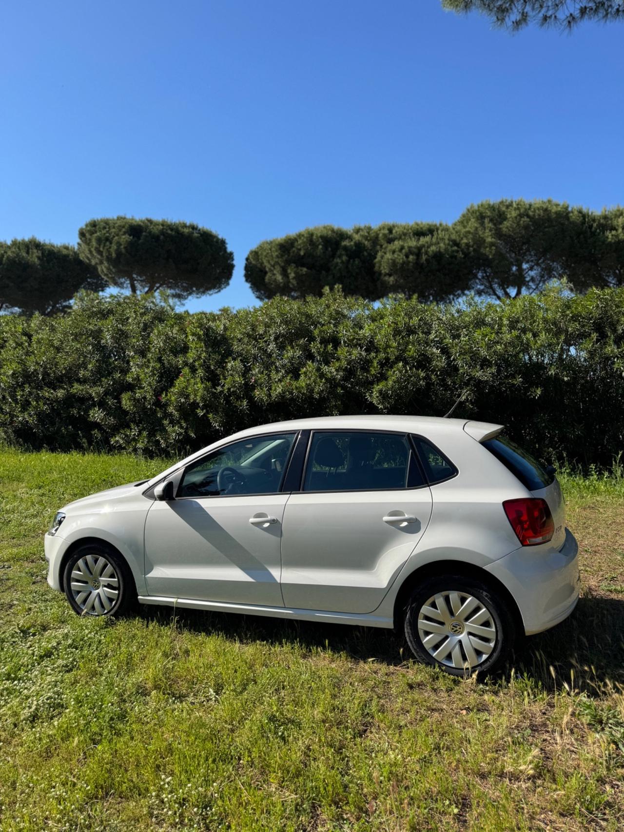 Volkswagen Polo 1.6 TDI DPF 5 porte Trendline