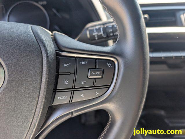 LEXUS UX 250h Hybrid Business Aziendale