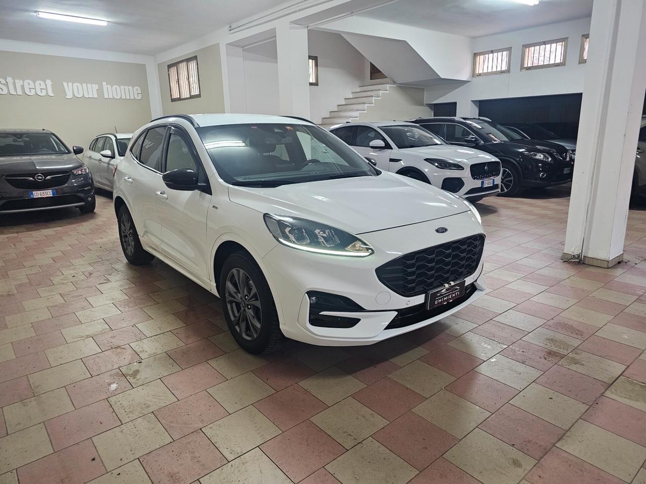 Ford Kuga 2.0 EcoBlue 120 CV aut. AWD ST-Line