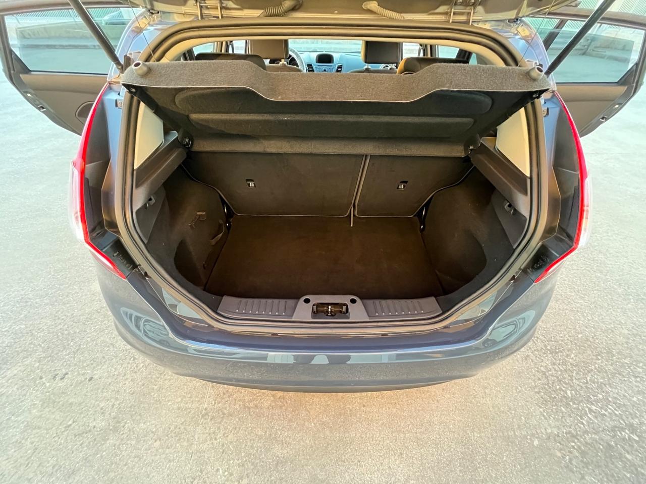 Ford Fiesta 1.5 TDCi 75CV 5 porte Titanium