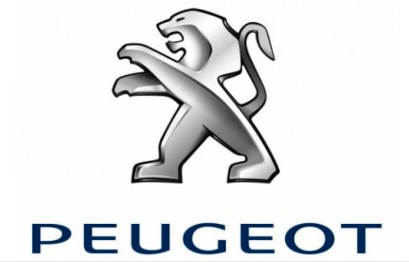 Peugeot 308 1.6 e-HDi Business SW E5B--IN ARRIVO!!!