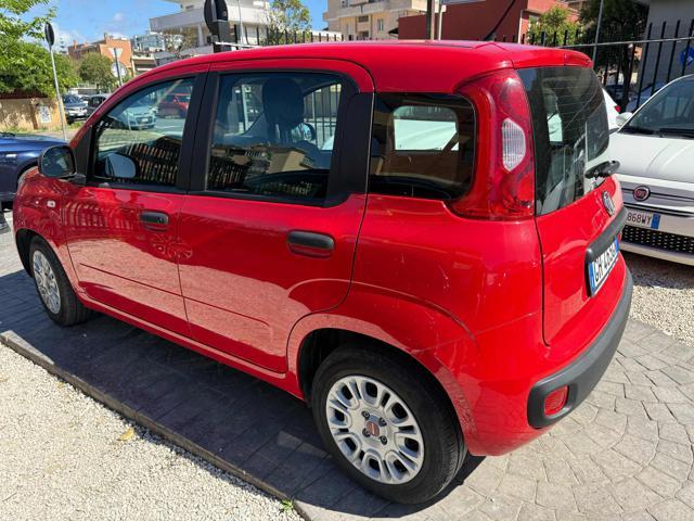 FIAT Panda 1.0 FireFly S&S Hybrid Eas 5 posti no obbligo fina