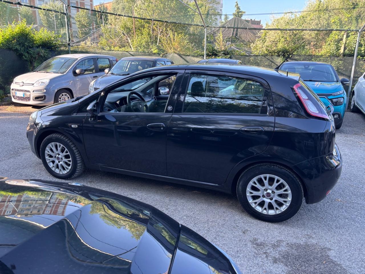 Fiat Punto Evo 1.2 5 porte GPL OK NEOPATENTATI