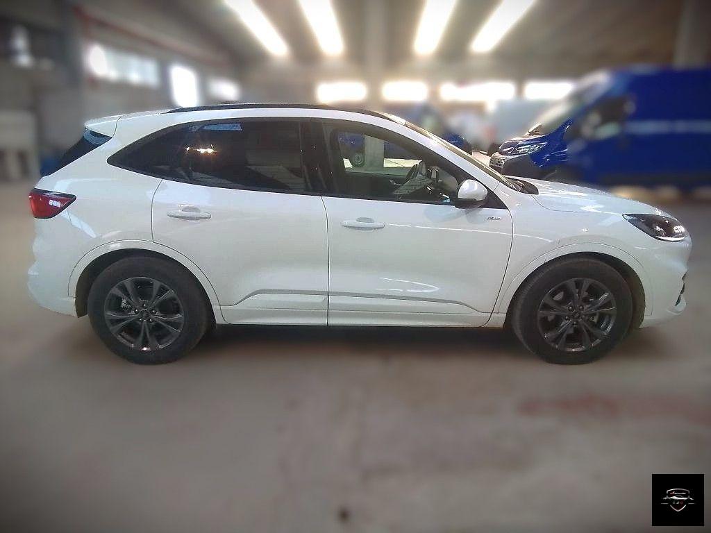 FORD - Kuga - 2.0 TDCI 120CV S&S 2WD Pow.ST-Line