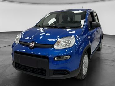 FIAT Panda III 2021 - Panda 1.0 firefly hybrid s&s 70cv