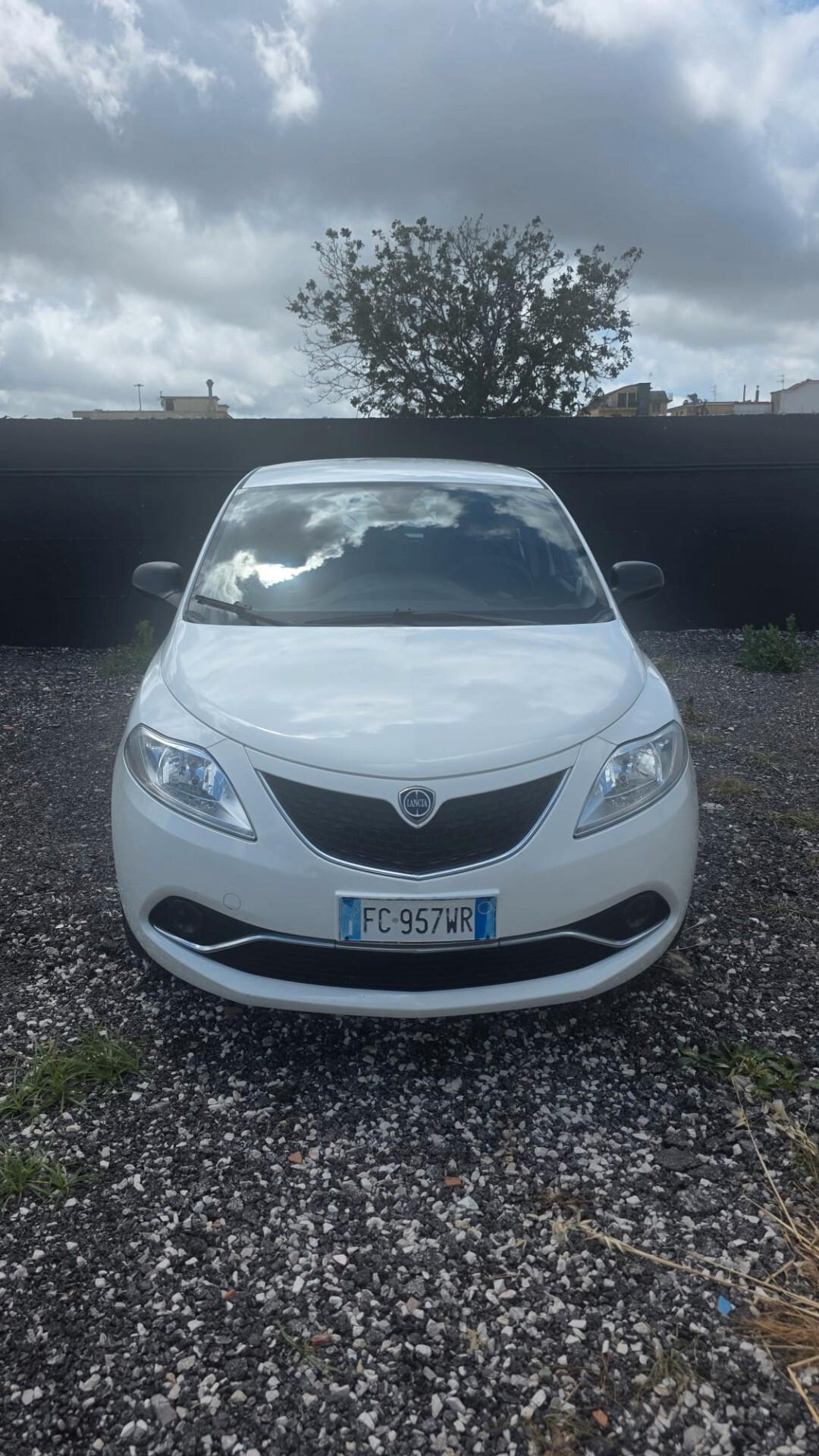 Lancia Ypsilon 1.2 69 CV 5 porte Platinum