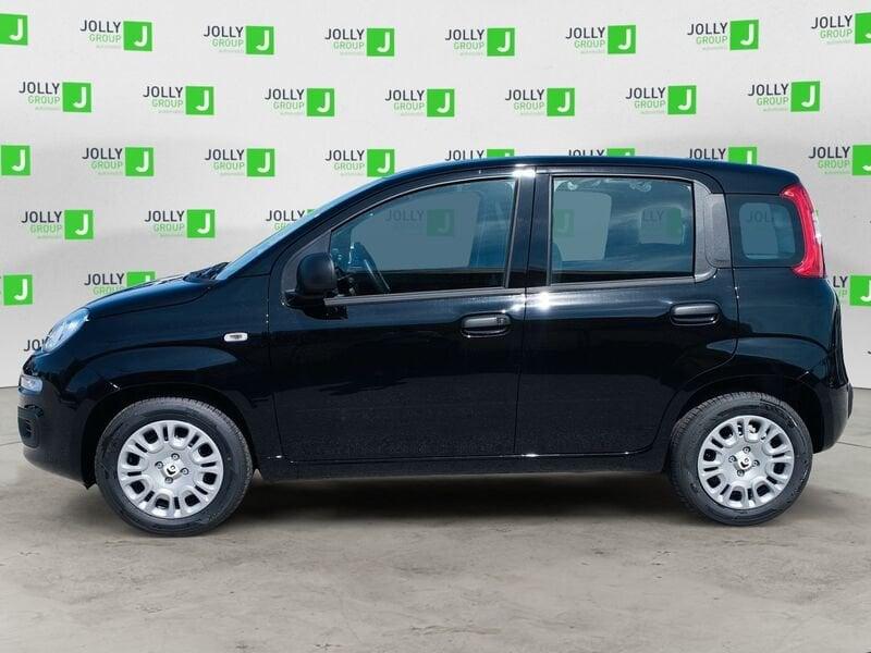 FIAT Panda Panda 1.0 FireFly S&S Hybrid Pop