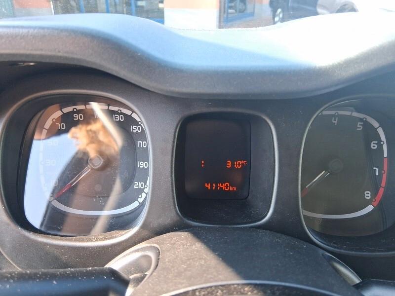 Fiat Panda 1.0 FireFly S&S Hybrid (867)