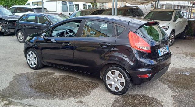 FORD Fiesta 1.2 82 CV 5 porte Titanium