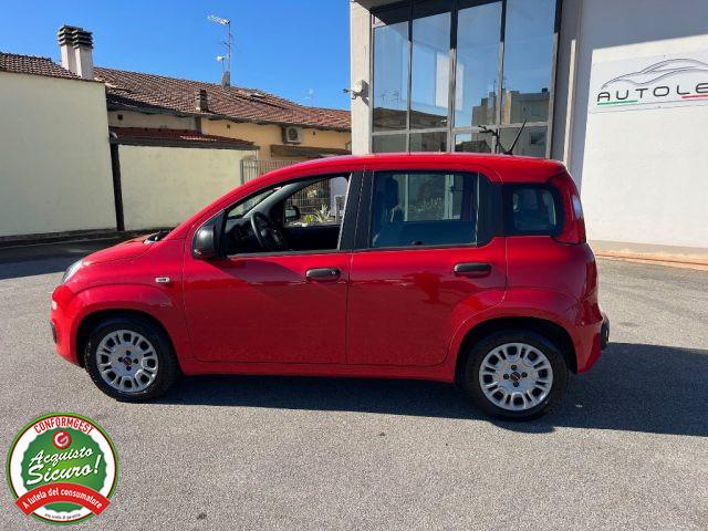FIAT Panda 1.0 FireFly S&S Hybrid - PER NEOPATENTATO -