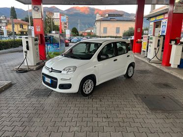 Fiat Panda 1.2 ANNO 2015 EURO 6 PROMO