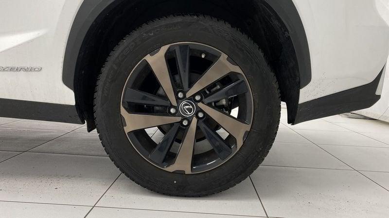 Lexus NX I 2018 300h 2.5 Premium 4wd cvt