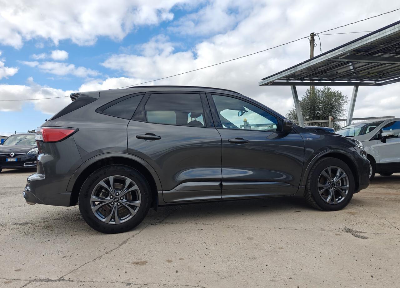 Ford Kuga 1.5 EcoBlue 120 CV aut. 2WD ST-Line X