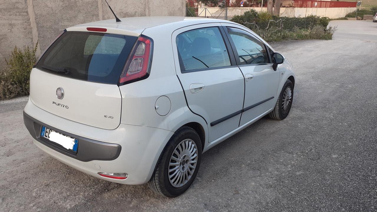 Fiat Punto Evo Punto evo