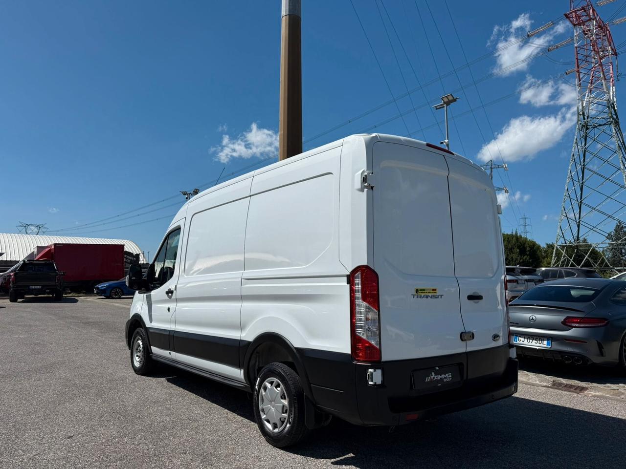 Ford Transit 290 2.0TDCi Eco Blue PM-TM Furgone PREZZO ESCLUSO IVA (029)